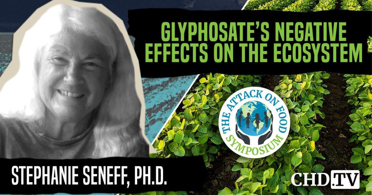 Glyphosate's Negative Effects on the Ecosystem — Stephanie Seneff, Ph.D.