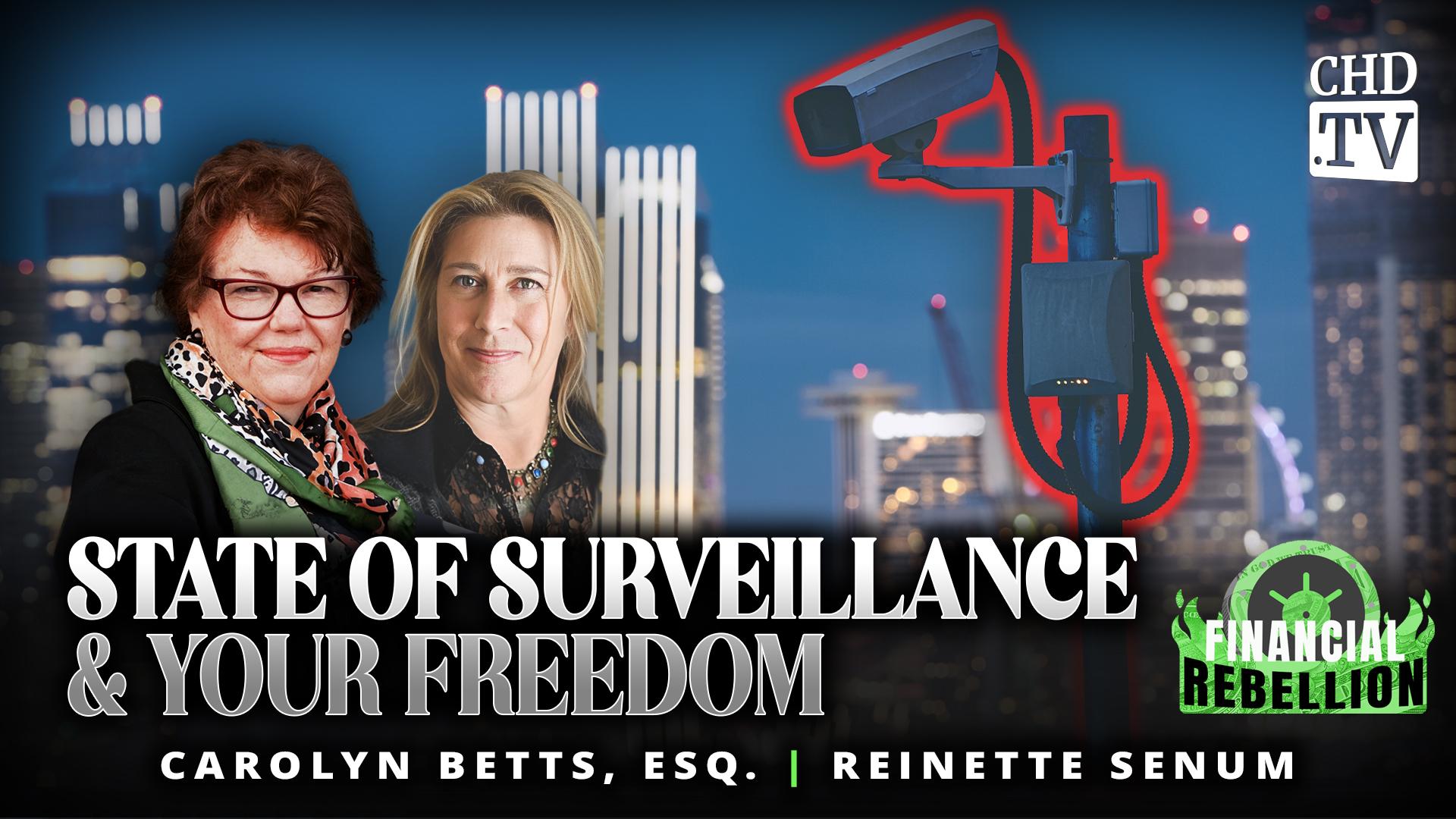 State of Surveillance & Your Freedom