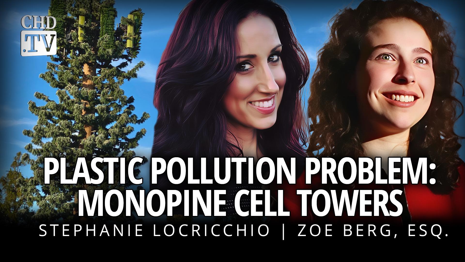 Plastic Pollution Problem: Monopine Cell Towers