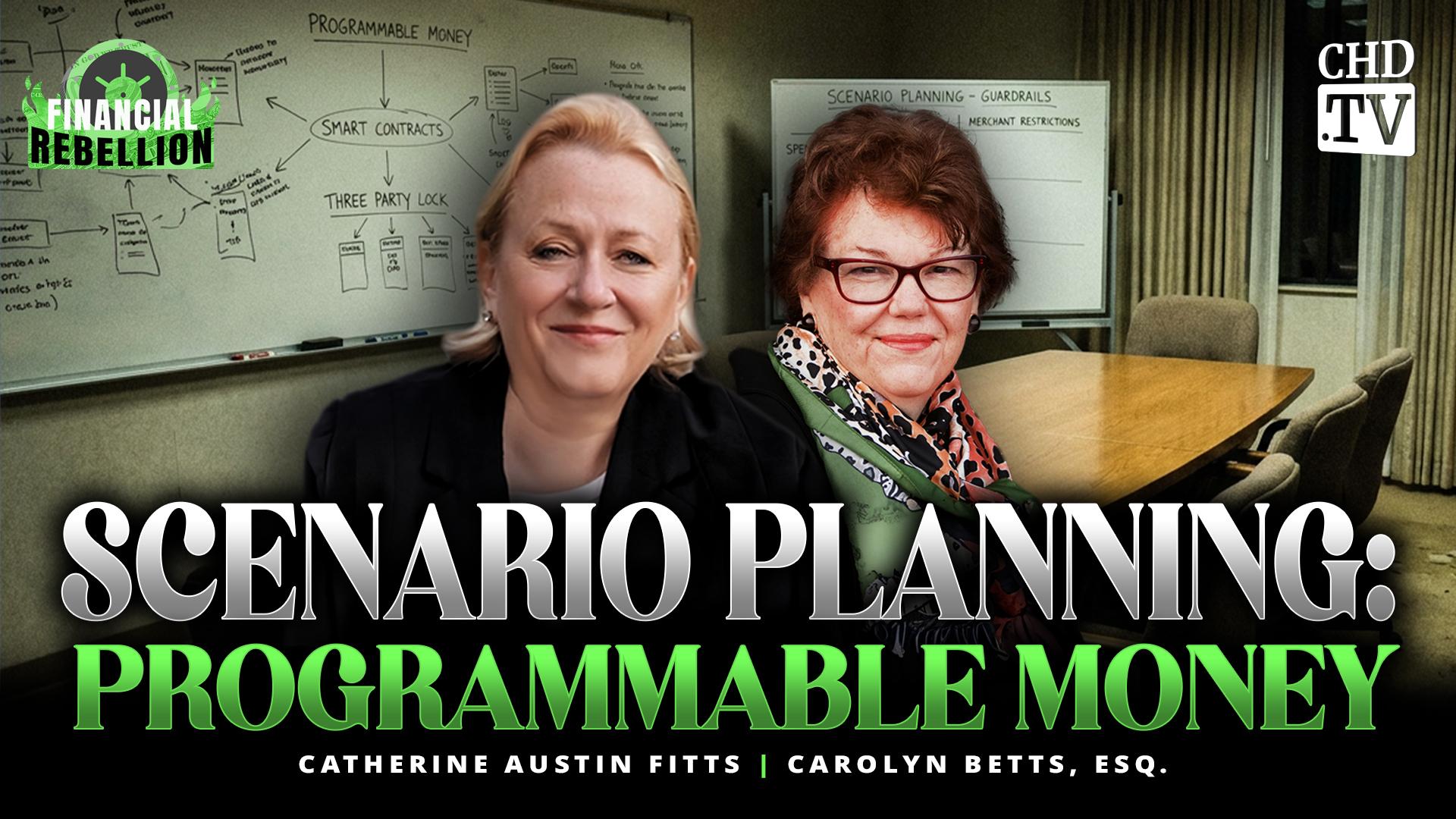 Scenario Planning: Programmable Money